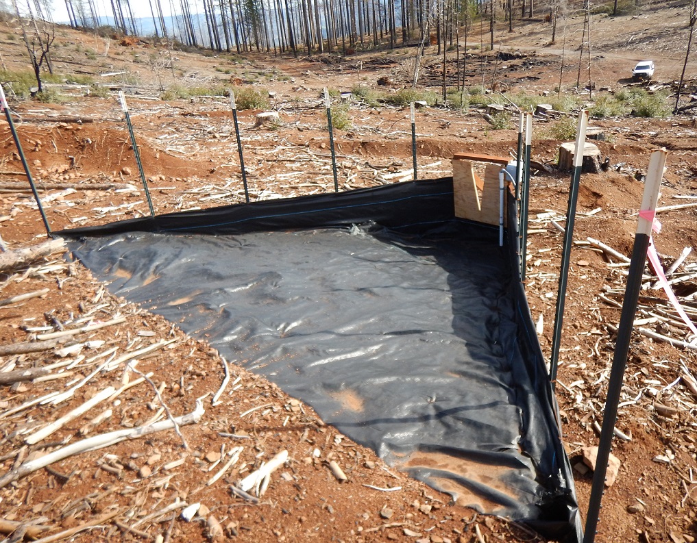 Sediment Fence set up on logged hillslope