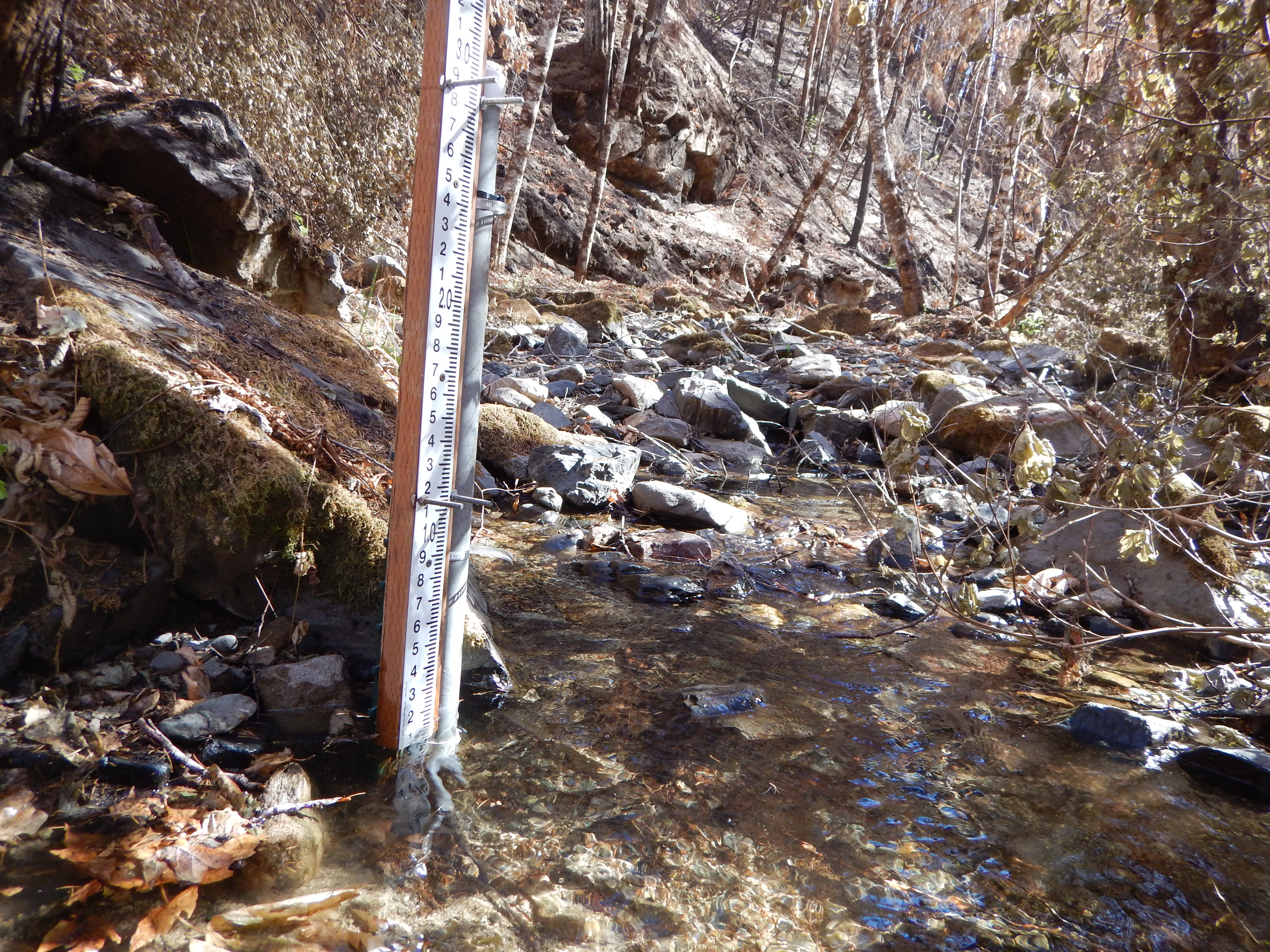 Staff plate installed ina small rocky stream
